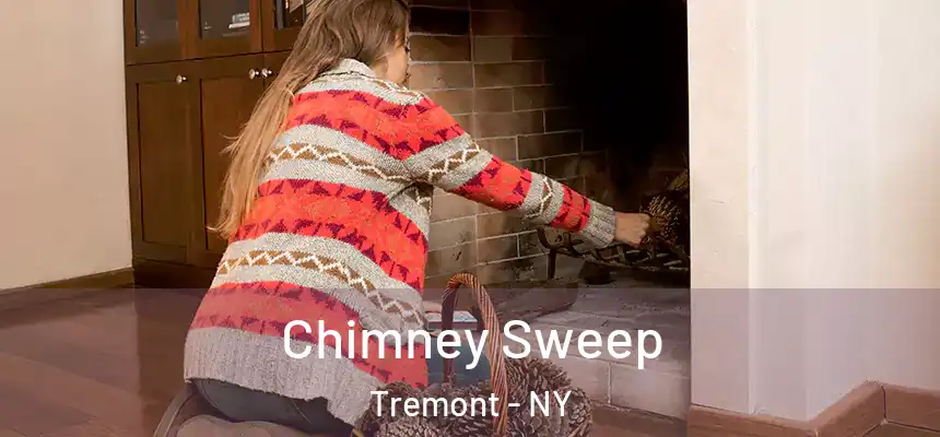 Chimney Sweep Tremont - NY