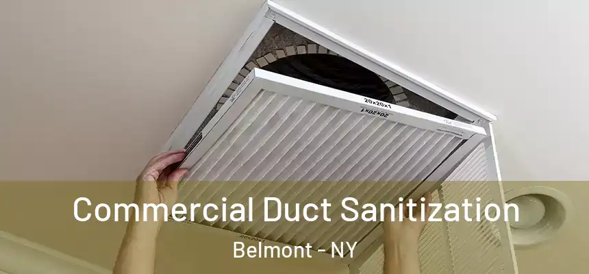 Commercial Duct Sanitization Belmont - NY
