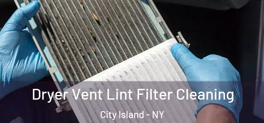  Dryer Vent Lint Filter Cleaning City Island - NY