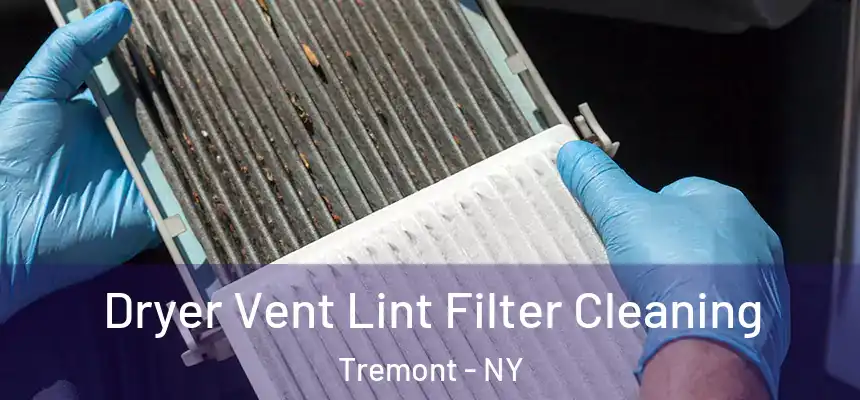 Dryer Vent Lint Filter Cleaning Tremont - NY