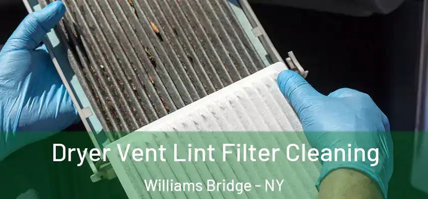 Dryer Vent Lint Filter Cleaning Williams Bridge - NY