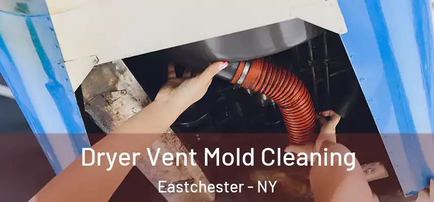 Dryer Vent Mold Cleaning Eastchester - NY