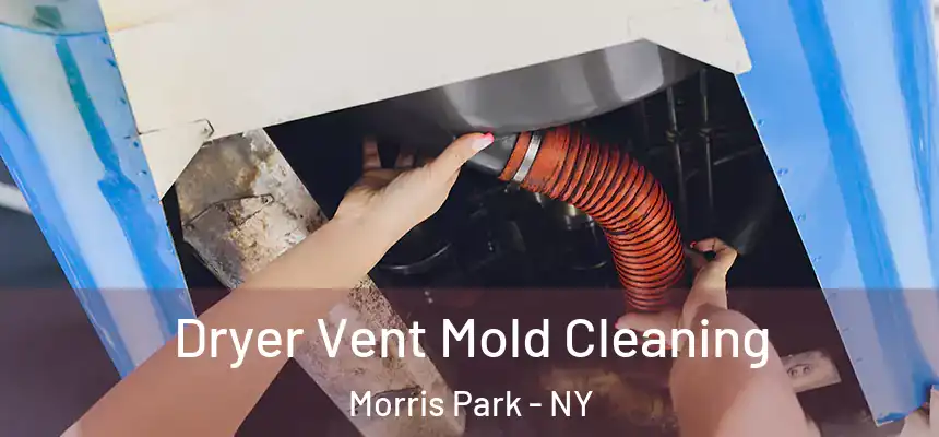 Dryer Vent Mold Cleaning Morris Park - NY