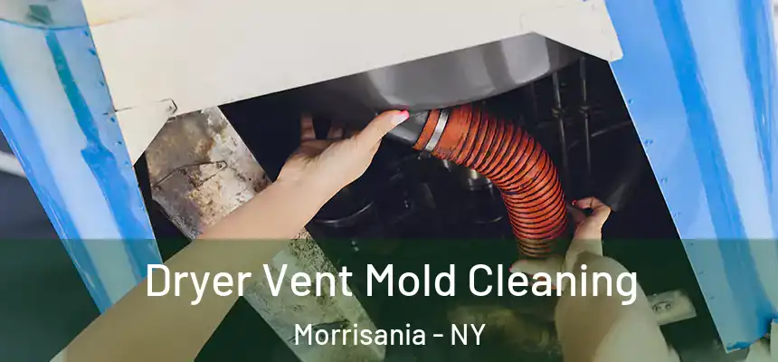 Dryer Vent Mold Cleaning Morrisania - NY