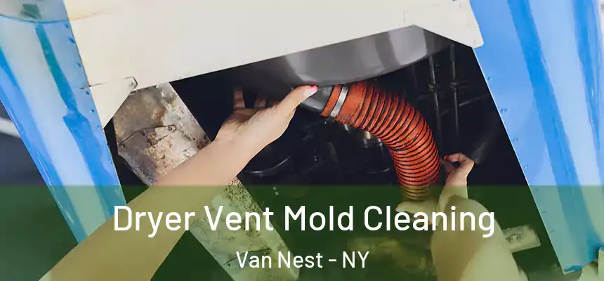 Dryer Vent Mold Cleaning Van Nest - NY
