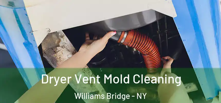 Dryer Vent Mold Cleaning Williams Bridge - NY