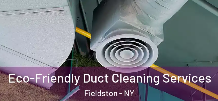  Eco-Friendly Duct Cleaning Services Fieldston - NY