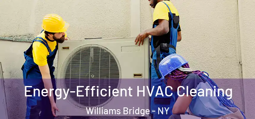 Energy-Efficient HVAC Cleaning Williams Bridge - NY