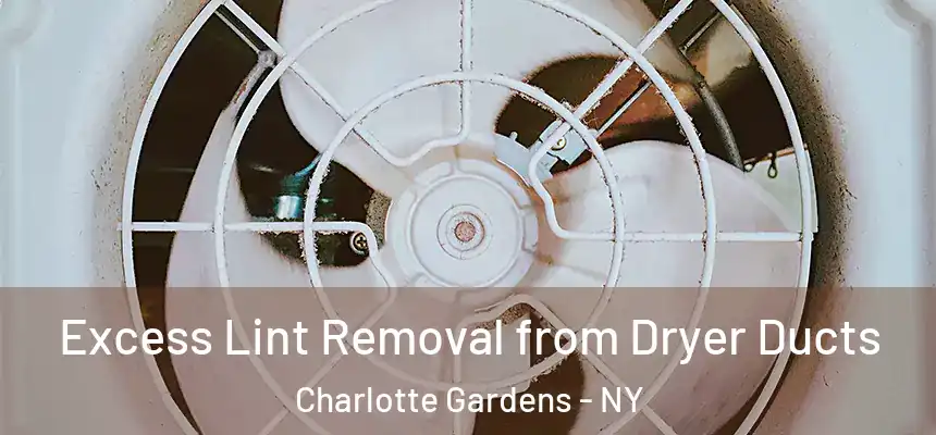  Excess Lint Removal from Dryer Ducts Charlotte Gardens - NY