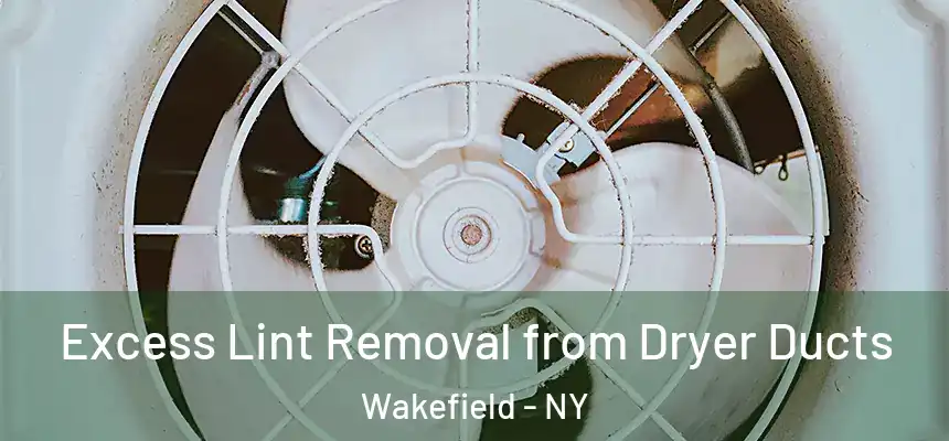 Excess Lint Removal from Dryer Ducts Wakefield - NY