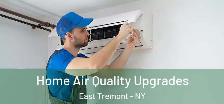 Home Air Quality Upgrades East Tremont - NY