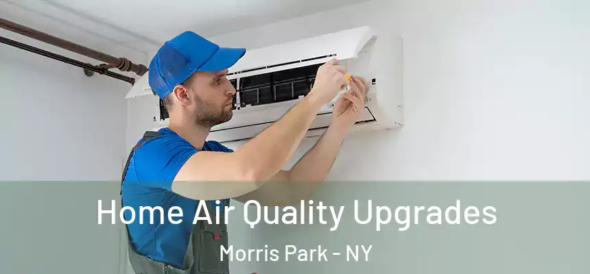 Home Air Quality Upgrades Morris Park - NY