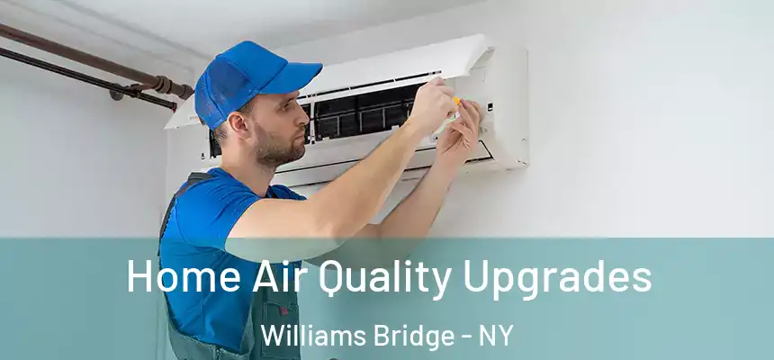 Home Air Quality Upgrades Williams Bridge - NY