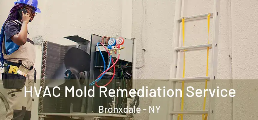 HVAC Mold Remediation Service Bronxdale - NY