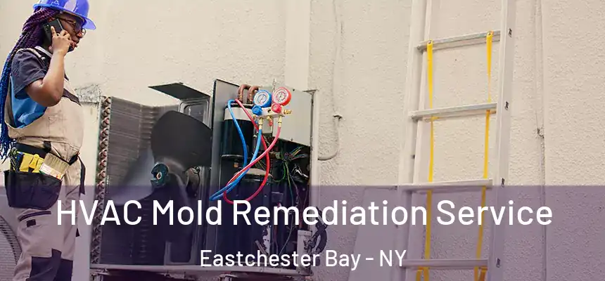  HVAC Mold Remediation Service Eastchester Bay - NY