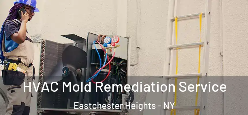  HVAC Mold Remediation Service Eastchester Heights - NY