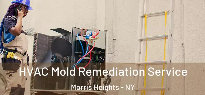 HVAC Mold Remediation Service Morris Heights - NY