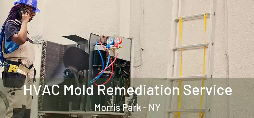  HVAC Mold Remediation Service Morris Park - NY