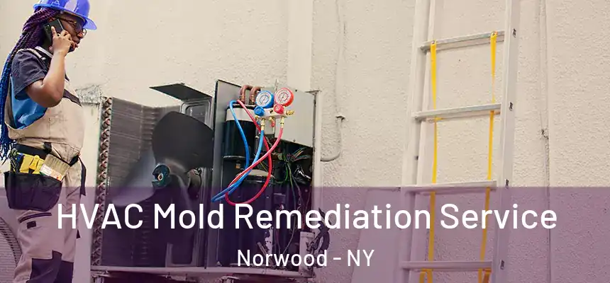 HVAC Mold Remediation Service Norwood - NY