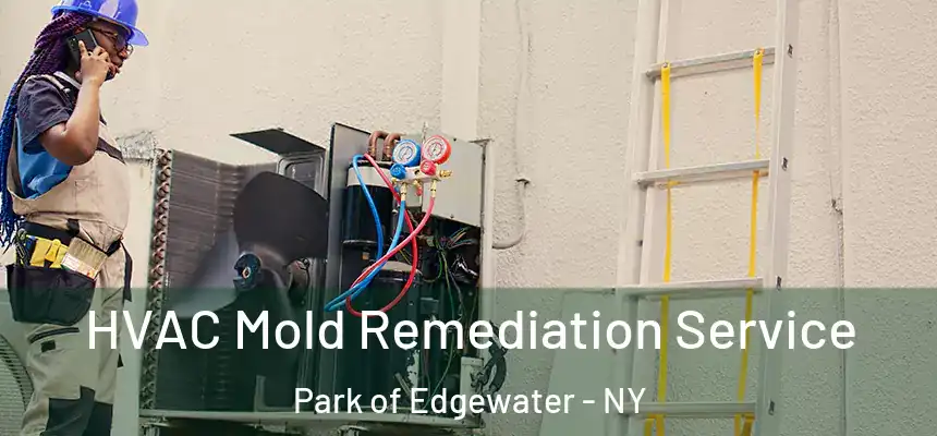 HVAC Mold Remediation Service Park of Edgewater - NY