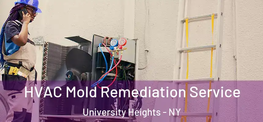 HVAC Mold Remediation Service University Heights - NY