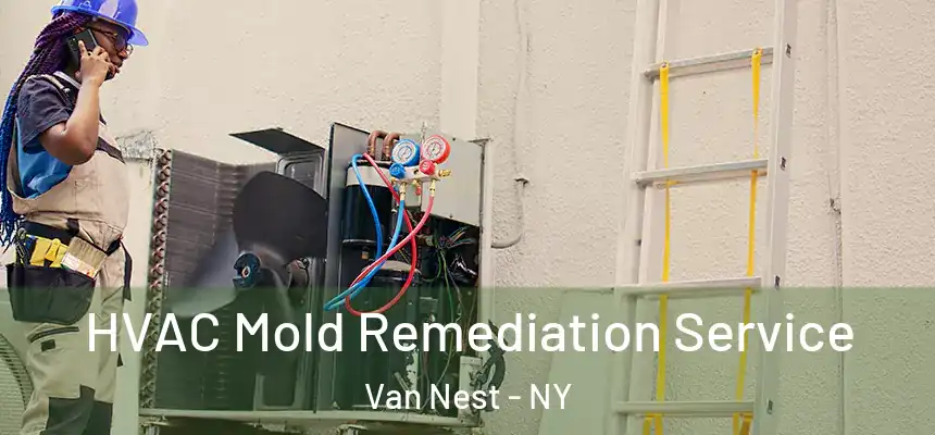 HVAC Mold Remediation Service Van Nest - NY