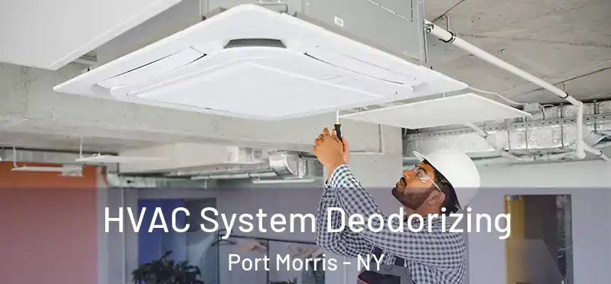HVAC System Deodorizing Port Morris - NY