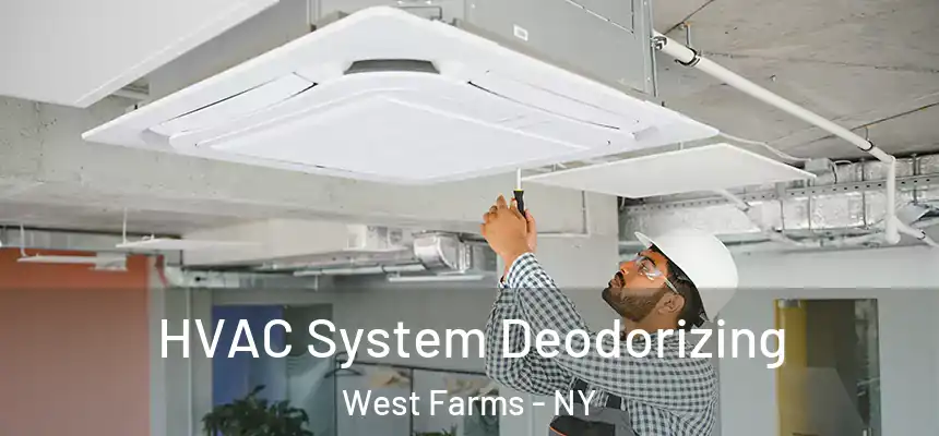 HVAC System Deodorizing West Farms - NY