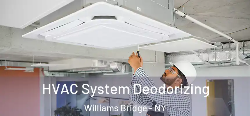 HVAC System Deodorizing Williams Bridge - NY