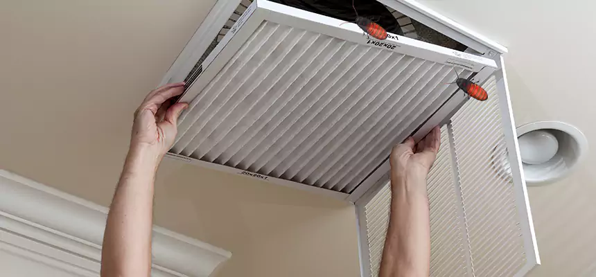 Preventive Cockroach-Proofing for Ducts in Fieldston