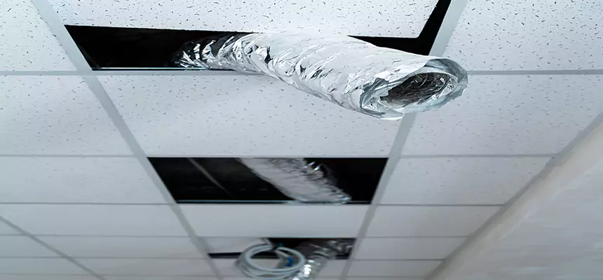 Our Air Duct Pet Hair Removal Services in High Bridge, NY