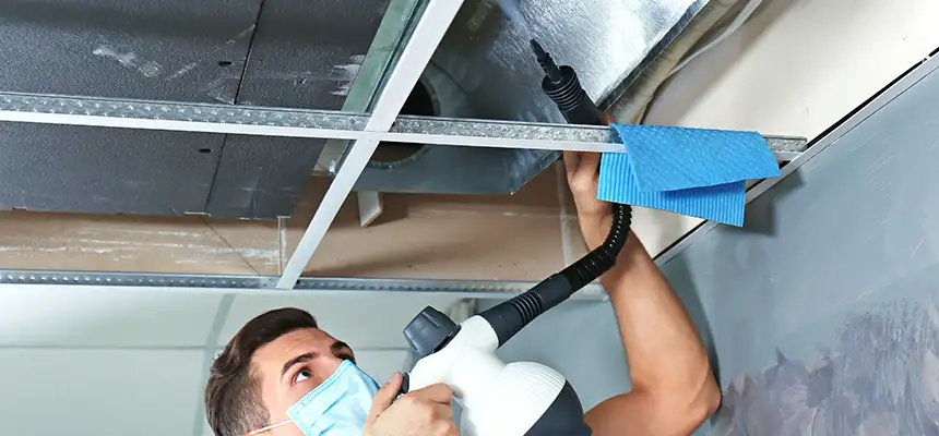 Our Air Duct Rodent Removal Services in Fieldston, NY