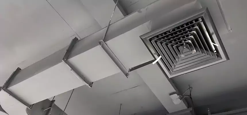 Restorative Allergy Relief Vent Cleaning – Coil, Blower & Housing Detail in Bronx