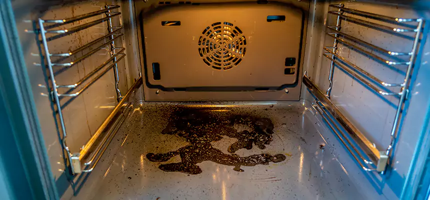 Our Dryer Vent Mold Cleaning Services in University Heights, NY