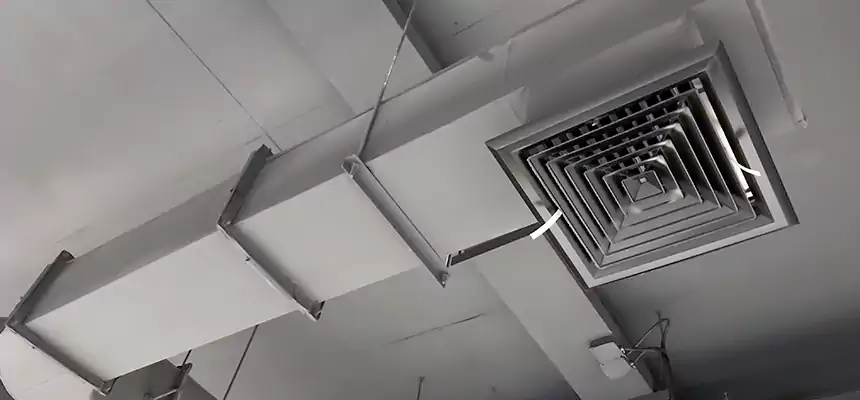 Our Pest Removal From Ducts Services in Fieldston, NY