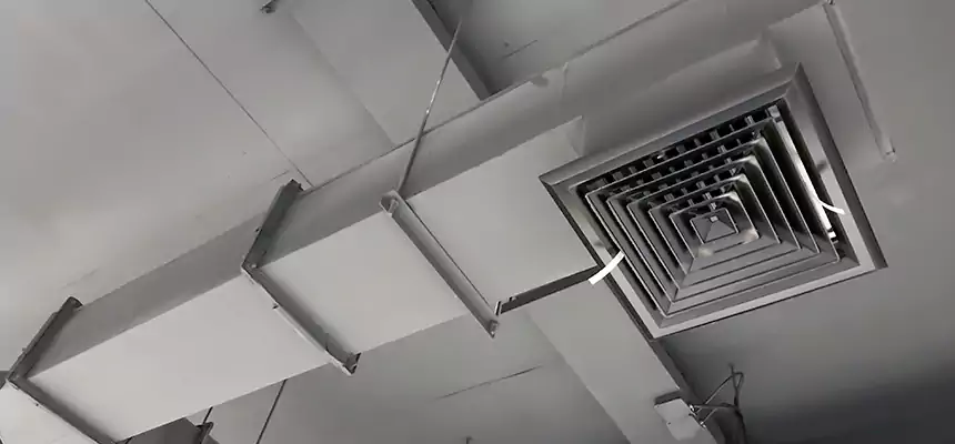 Our Rodent Droppings In Vents Services in Fieldston, NY