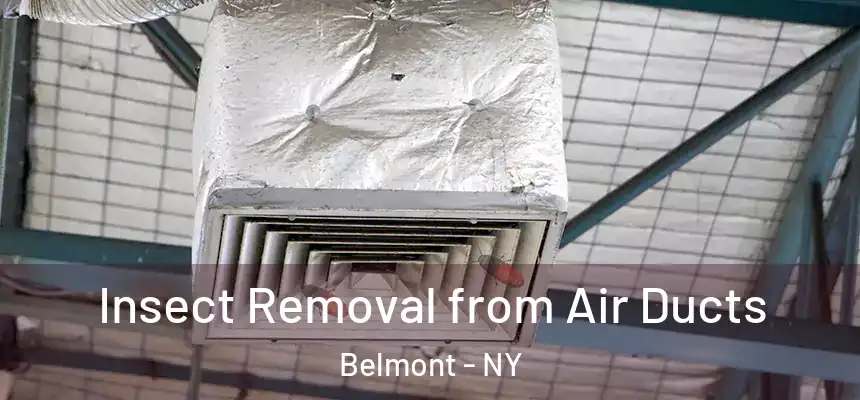 Insect Removal from Air Ducts Belmont - NY