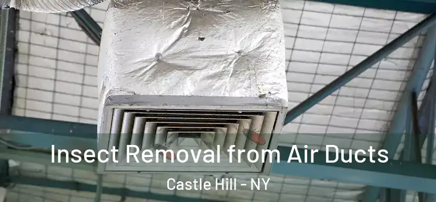 Insect Removal from Air Ducts Castle Hill - NY