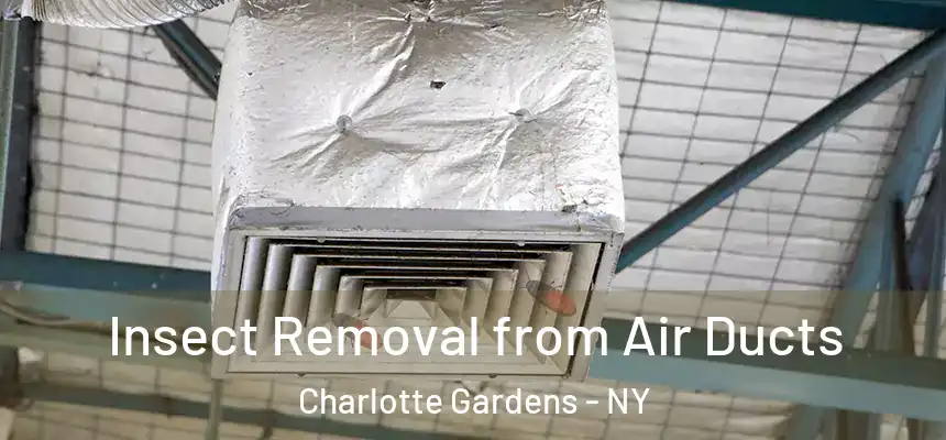 Insect Removal from Air Ducts Charlotte Gardens - NY