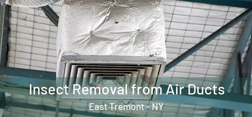 Insect Removal from Air Ducts East Tremont - NY