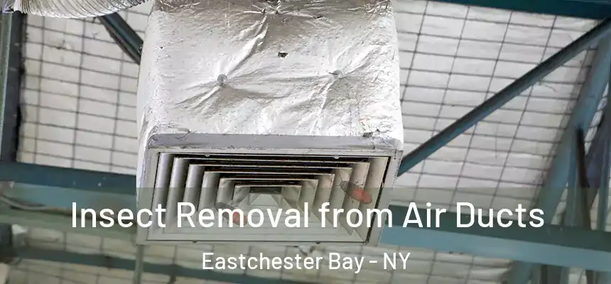 Insect Removal from Air Ducts Eastchester Bay - NY