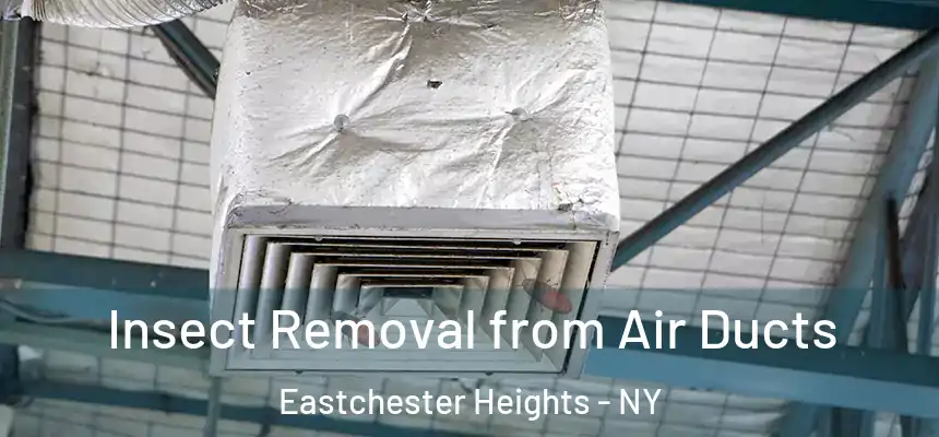 Insect Removal from Air Ducts Eastchester Heights - NY