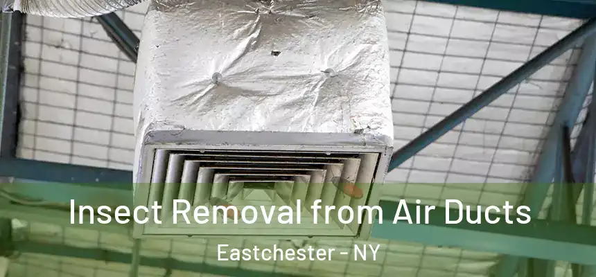 Insect Removal from Air Ducts Eastchester - NY