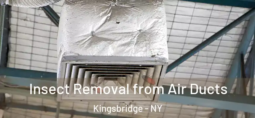 Insect Removal from Air Ducts Kingsbridge - NY