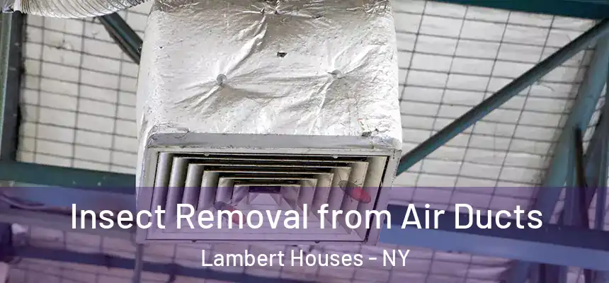 Insect Removal from Air Ducts Lambert Houses - NY