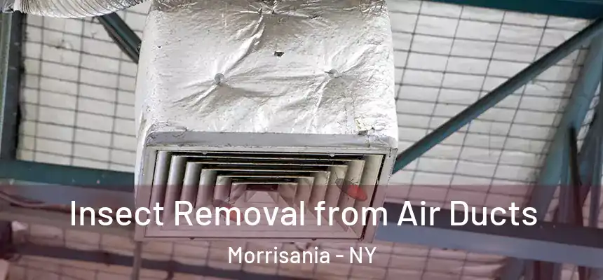 Insect Removal from Air Ducts Morrisania - NY