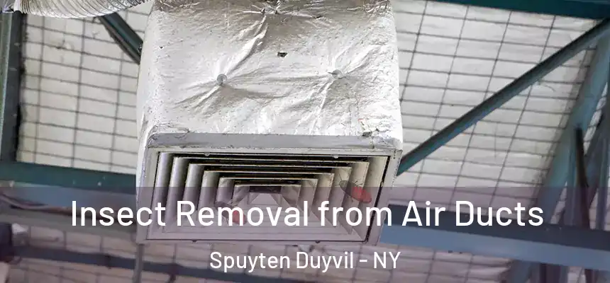  Insect Removal from Air Ducts Spuyten Duyvil - NY
