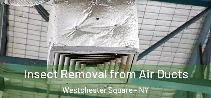  Insect Removal from Air Ducts Westchester Square - NY