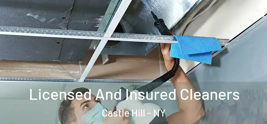 Licensed And Insured Cleaners Castle Hill - NY