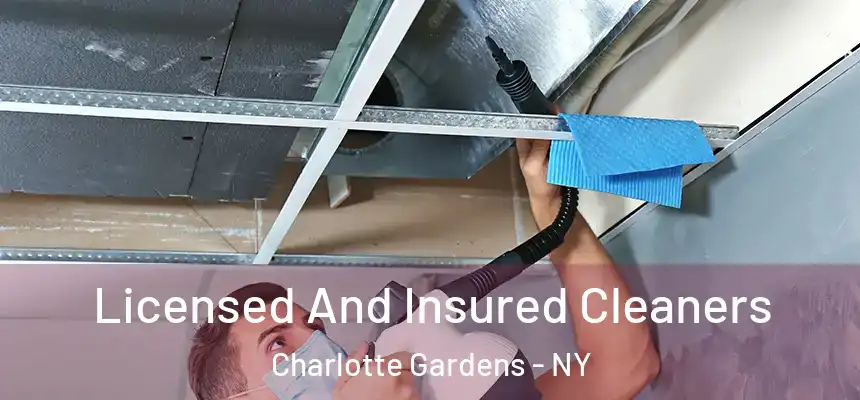 Licensed And Insured Cleaners Charlotte Gardens - NY
